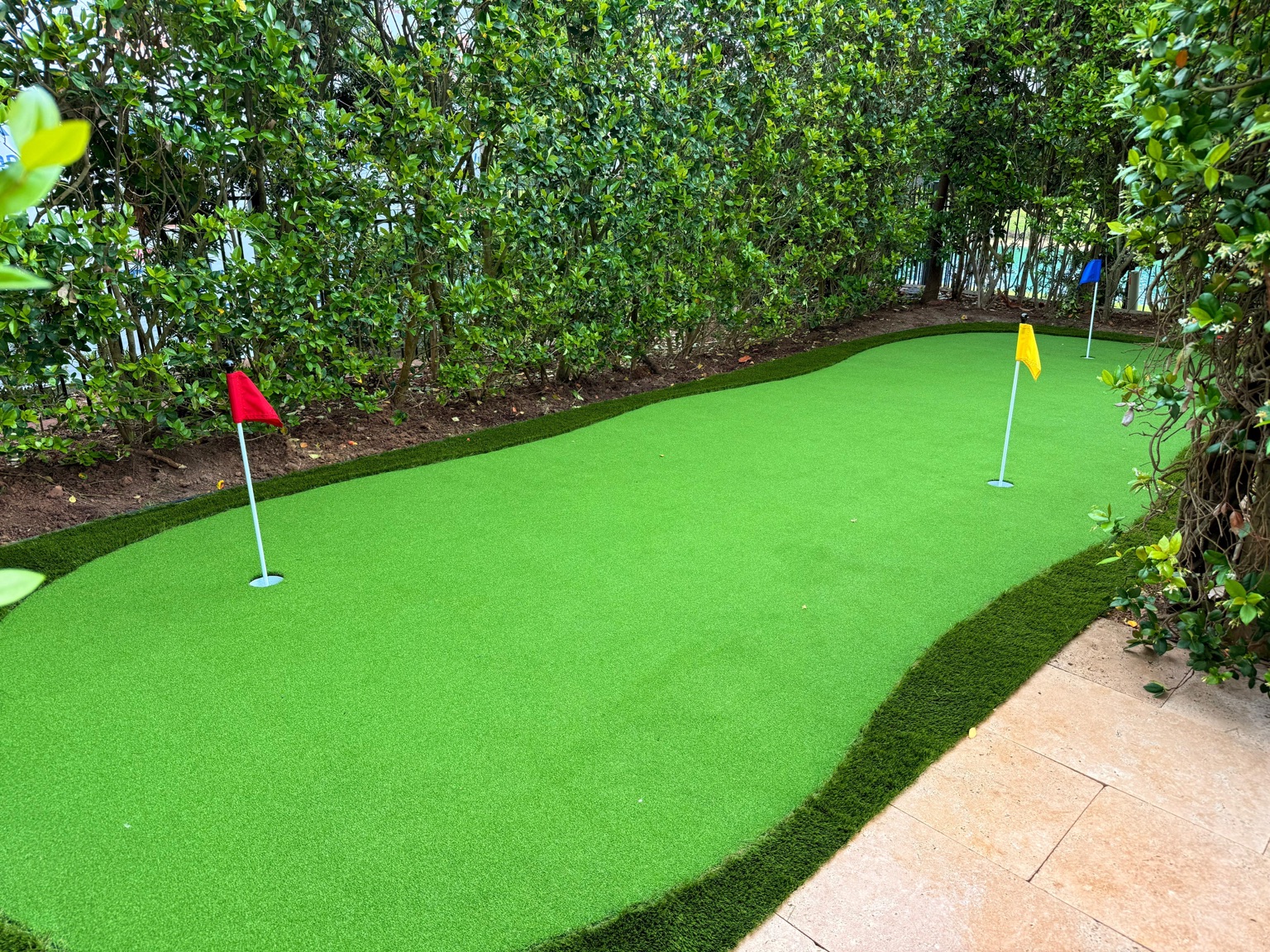 Backyard putting green
